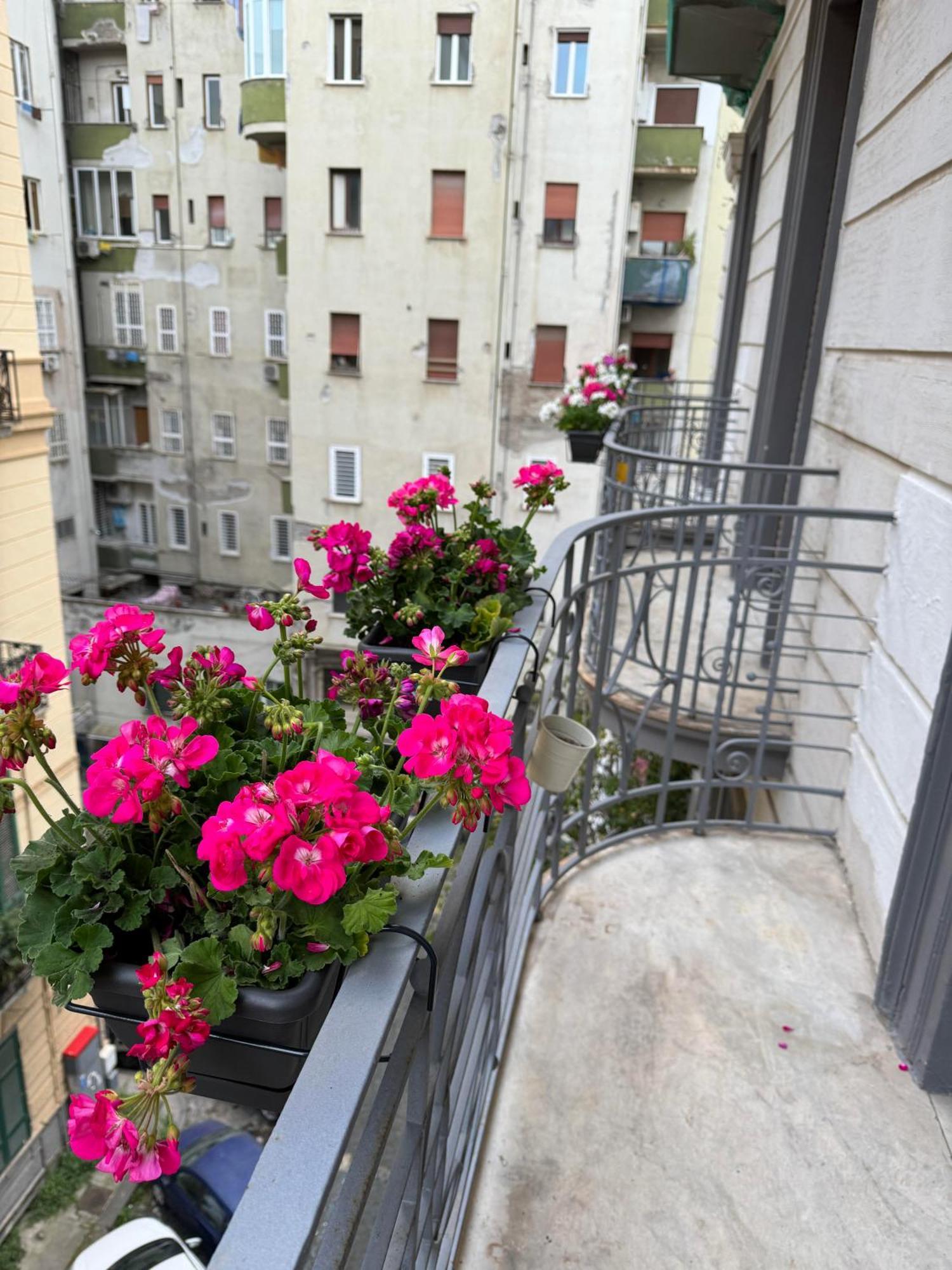 Serghouse Napoli Bagian luar foto